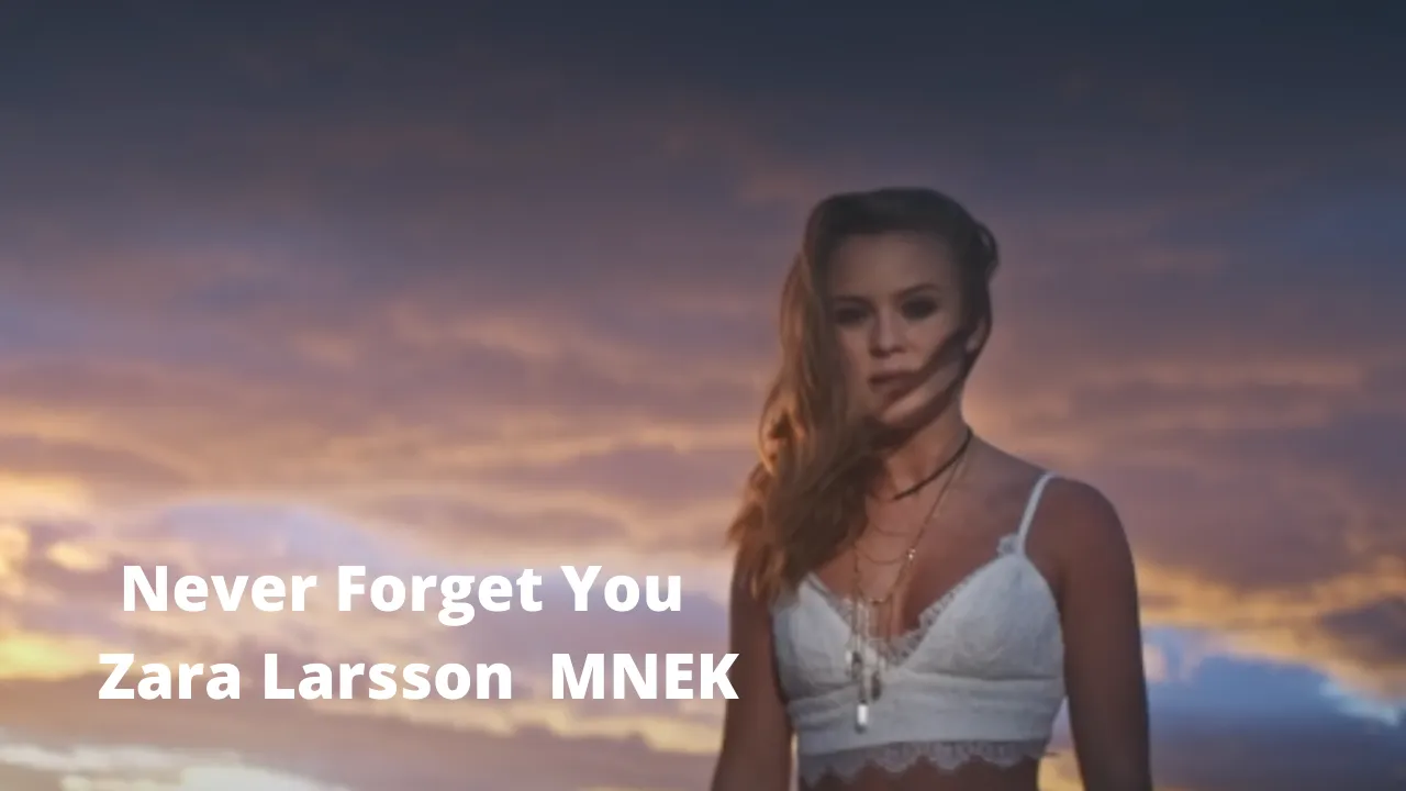 Never Forget You | Zara Larsson | MNEK