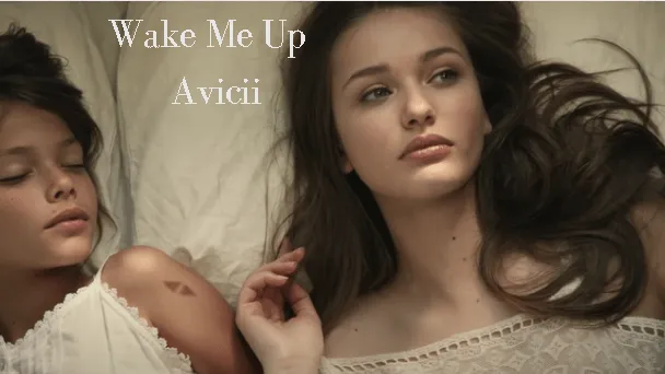 Wake Me Up - Lyrics | Avicii